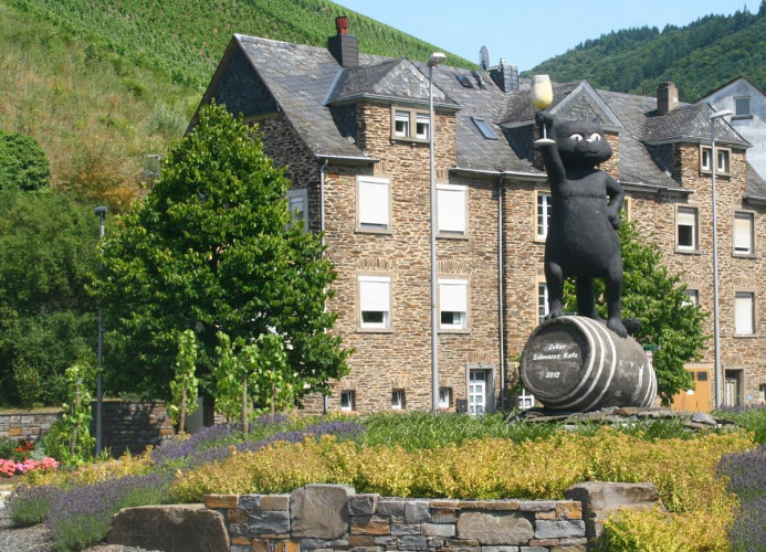 Ferienwohnung Rheinsteig im Ferienhaus Kleine Merle in Notenau 234, 56856 Zell