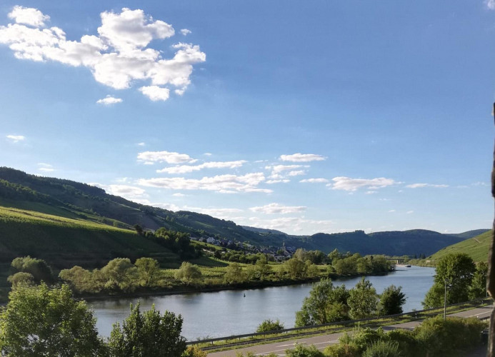 Panorama