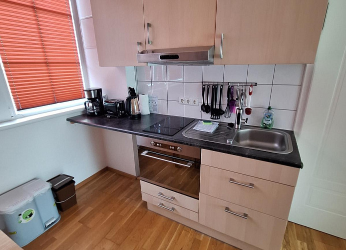 Ferienwohnung Moselherz 1